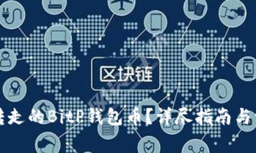 如何找回被转走的BitP钱包币？详尽指南与常见问题解析