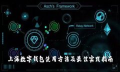 上海数字钱包使用方法及最佳实践指南