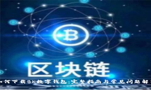 如何下载BK数字钱包：完整指南与常见问题解答
