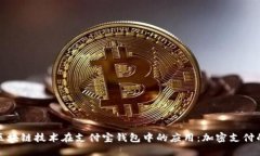 探索区块链技术在支付宝钱包中的应用：加密支