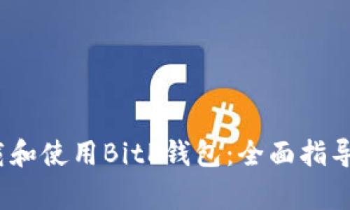 如何在iOS上下载和使用BitP钱包：全面指导与常见问题解答
