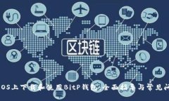 如何在iOS上下载和使用BitP钱包：全面指导与常见