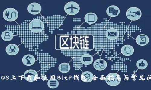 如何在iOS上下载和使用BitP钱包：全面指导与常见问题解答