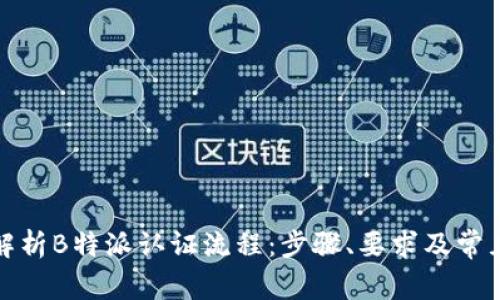 全面解析B特派认证流程：步骤、要求及常见问题