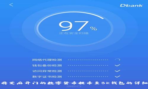如何将芝麻开门的数字货币提币至BK钱包的详细指南