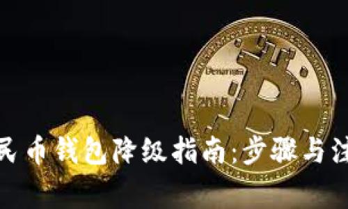 数字人民币钱包降级指南：步骤与注意事项