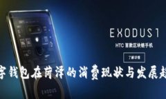 数字钱包在菏泽的消费现状与发展趋势