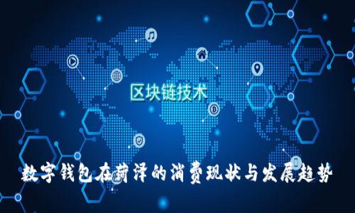 数字钱包在菏泽的消费现状与发展趋势