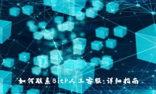 如何联系BitP人工客服：详细指南