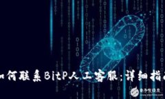 如何联系BitP人工客服：详细指南