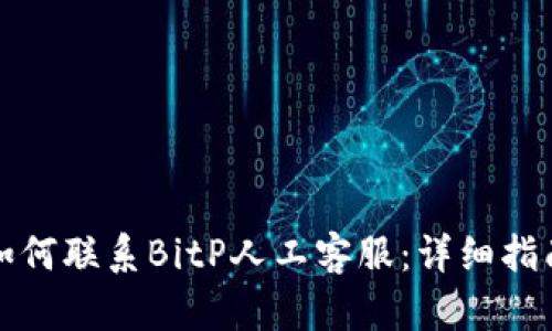 如何联系BitP人工客服：详细指南