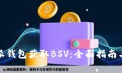 如何通过比特派钱包获取BSV：全面指南与常见问