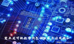 楚天龙可视数字钱包的优势与应用揭秘