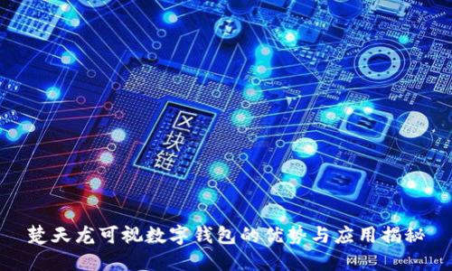 楚天龙可视数字钱包的优势与应用揭秘