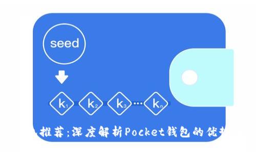 数字货币钱包推荐：深度解析Pocket钱包的优势与使用技巧
