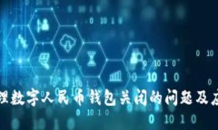 如何处理数字人民币钱包关闭的问题及应对策略