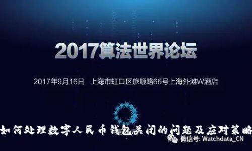如何处理数字人民币钱包关闭的问题及应对策略
