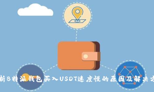 分析B特派钱包买入USDT速度慢的原因及解决方案