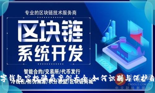 数字钱包空投骗局案例大全：如何识别与保护自己