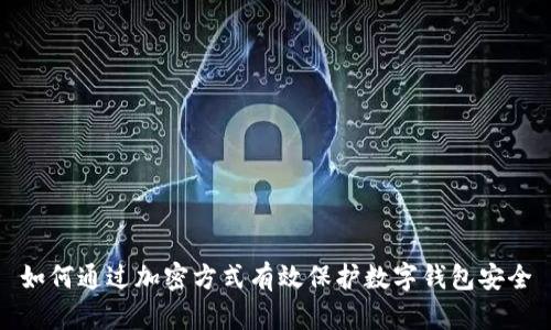 如何通过加密方式有效保护数字钱包安全