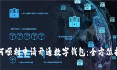 如何顺利申请开通数字钱包：全方位指南