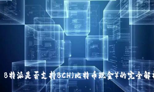 : B特派是否支持BCH（比特币现金）的完全解析