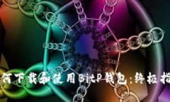 如何下载和使用BitP钱包：终极指南