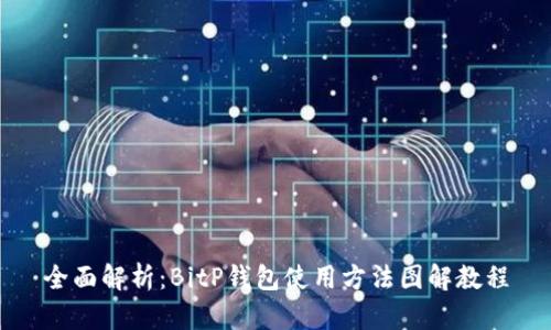 全面解析：BitP钱包使用方法图解教程