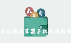 如何解决比特派苹果手机无法打开的问题