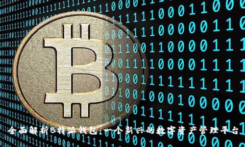 全面解析B特派钱包：一个新兴的数字资产管理平台