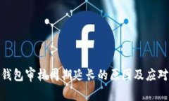 数字钱包审核周期延长的原因及应对措施