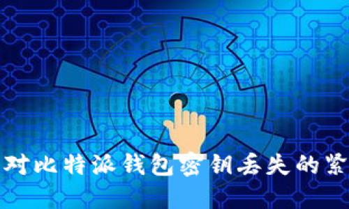 如何应对比特派钱包密钥丢失的紧急指南
