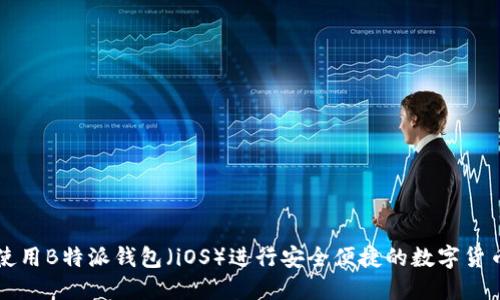 如何使用B特派钱包（iOS）进行安全便捷的数字货币交易