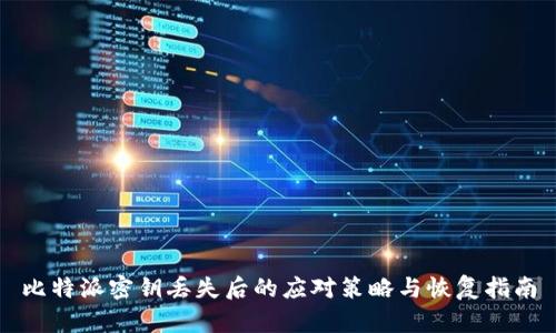 比特派密钥丢失后的应对策略与恢复指南