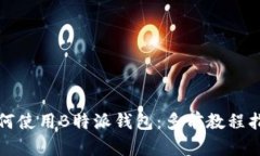 如何使用B特派钱包：多前教程指南