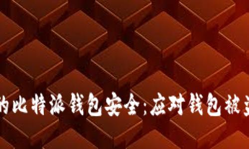 如何保护您的比特派钱包安全：应对钱包被盗的全面指南