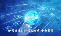 如何查看BitP钱包地址：全面指南