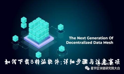 如何下载B特派软件：详细步骤与注意事项