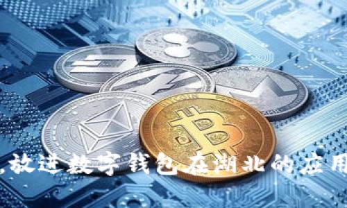 思考一个的，放进数字钱包在湖北的应用与发展趋势