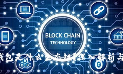 Bitkeep钱包是什么生态链？深入解析与应用场景