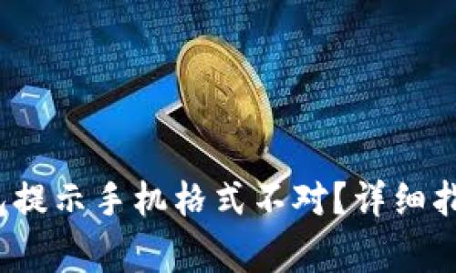  如何解决数字钱包提示手机格式不对？详细指南与常见问题解答