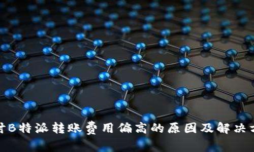 探讨B特派转账费用偏高的原因及解决方案