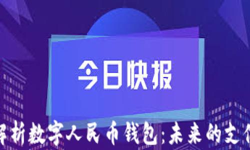 
全面解析数字人民币钱包：未来的支付革命