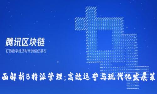 全面解析B特派管理：高效运营与现代化发展策略