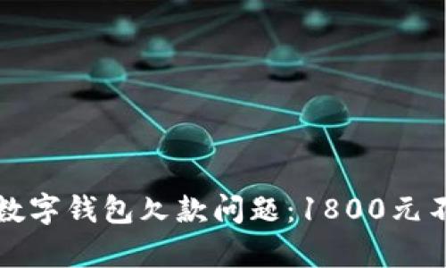 如何有效应对数字钱包欠款问题：1800元不还的解决方案