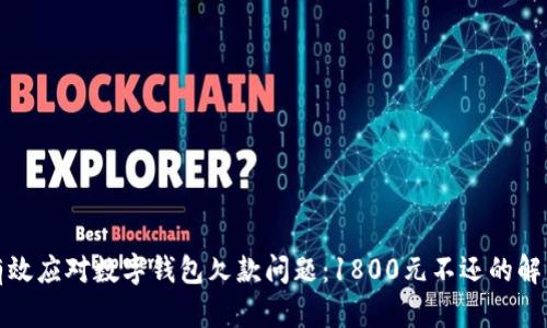 如何有效应对数字钱包欠款问题：1800元不还的解决方案