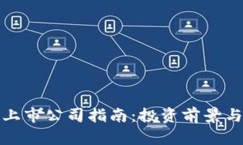 数字钱包上市公司指南：投资前景与市场分析