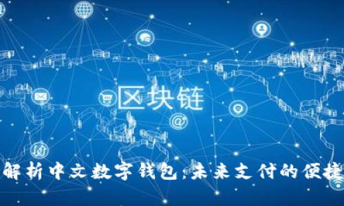 全面解析中文数字钱包：未来支付的便捷选择