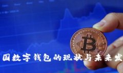 中国数字钱包的现状与未来发展