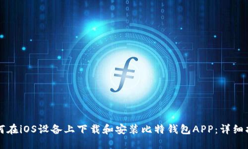 如何在iOS设备上下载和安装比特钱包APP：详细指南